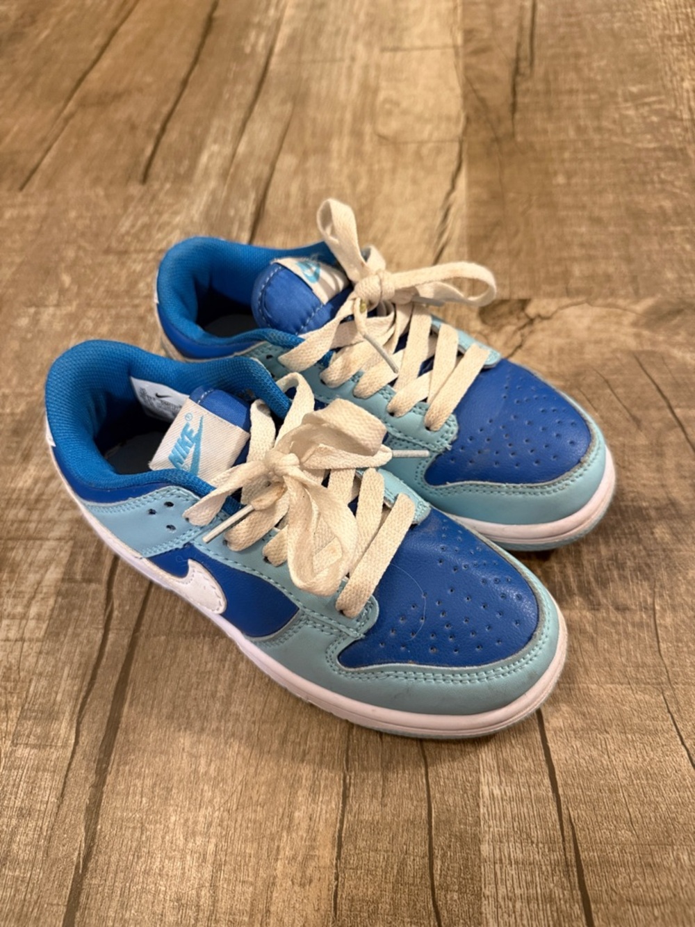 Nike Kids Two-Tone Blue Low-Top Sneakers